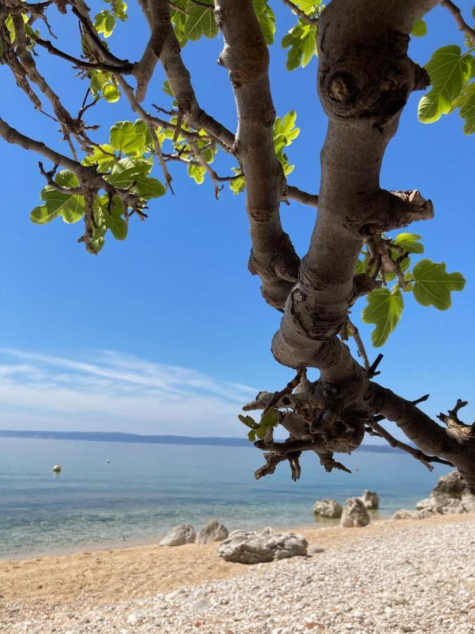 Villa Kuca Za Odmor Baya Stara Baška Exterior foto